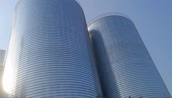 望奎2座混凝土高架卷板仓